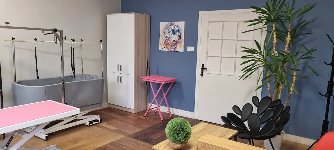 Wnętrze salonu Pongo w Gdyni